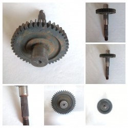 copy of Pignon sortie...