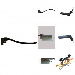 Bobine Honda 125 Shadow (MP06)