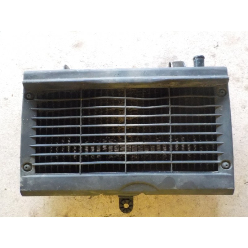 Protection de radiateur d'eau Honda 125 NSR JC22