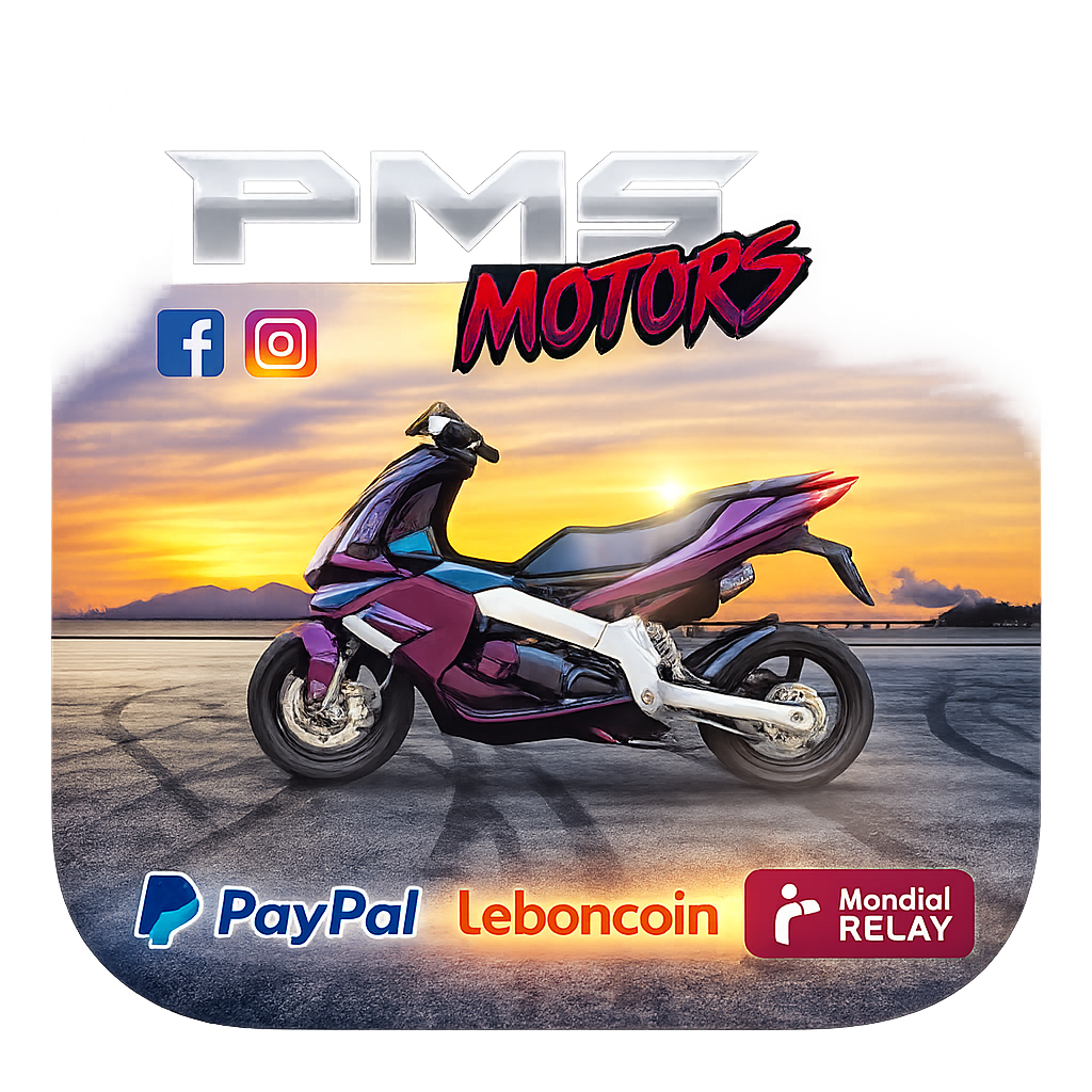 PMS MOTORS 31
